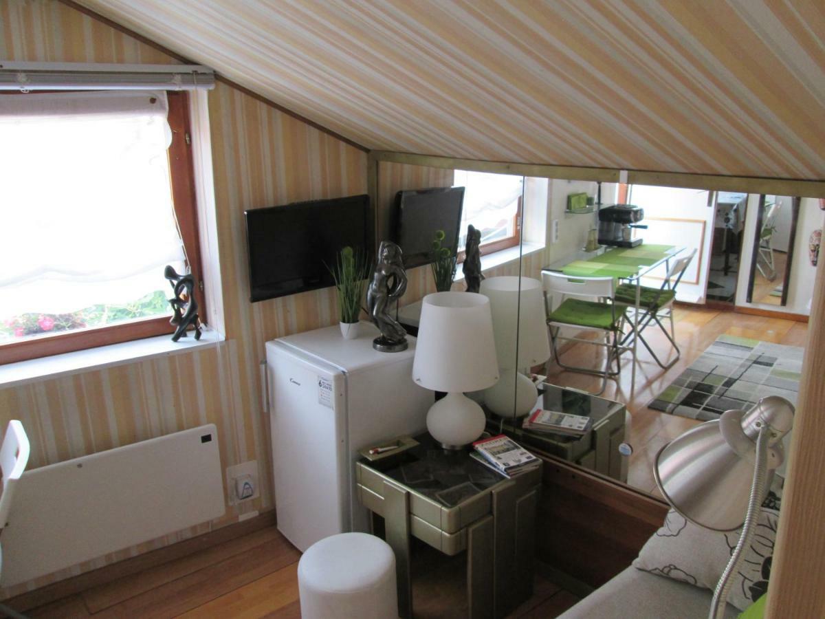 Apartment " Studio Green " Free Parking, Self Check-In زغرب المظهر الخارجي الصورة